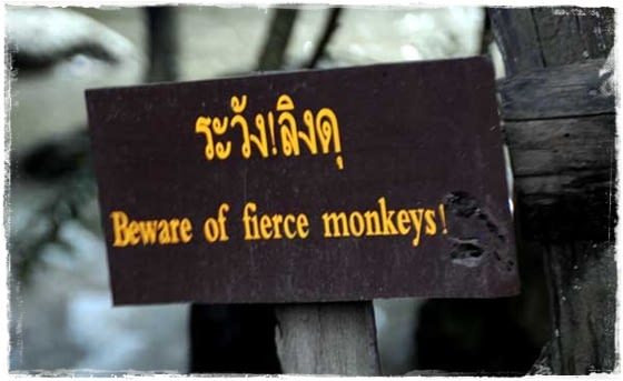 Erawan Waterfall - Monkey Sign