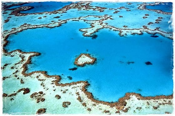 Great Barrier Reef, Cairns (Australia)