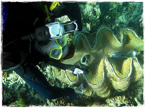 Terry and Giant Clam - Great Barrier Reef