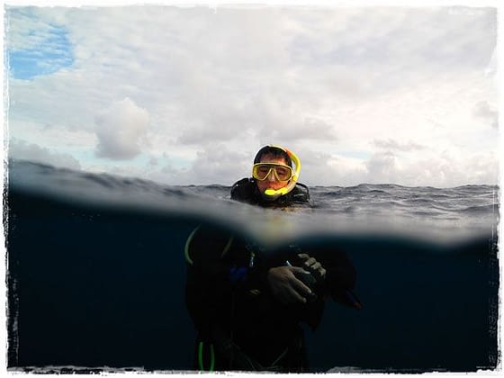 Lee On Surface - Great Barrier Reef